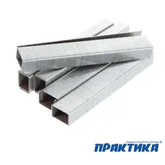 Скобы ПРАКТИКА для степлера, серия Мастер, 8 мм, Тип 53, толщина 0,74 мм, ширина 11,4 м (037-299)