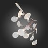 Люстра подвесная ST Luce Rafina SL379.203.30