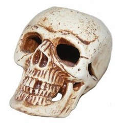 Орловская керамика декорация для аквариума череп малый 55/90мм