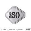 Номерок на дверь квартиры 250, для кабинета, офиса, шильдик 9 х 7 см, серебристый, Айдентика Технолоджи