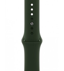 Ремешок Apple 44mm Cyprus Green Sport Band - Regular (MG433ZM/A)