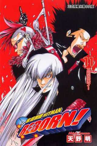Jiātíng Jiàoshī Hitman Reborn! Vol. 11 (На Японском языке)