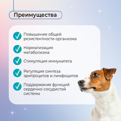 Favet FerrumActive Soft Chews функциональное лакомство для иммунитета для собак, 120г