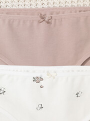 набор трусы/ уп  для девочки  К 1972-2уп/кофейный,сахар,голубика и цветы