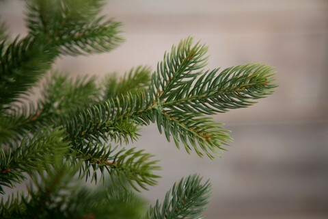 Ель 230см Black Box Городская 100% литая зеленая