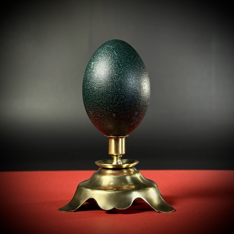 Яйцо страуса эму