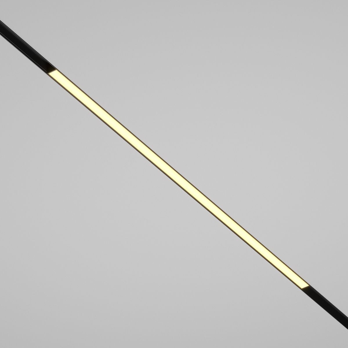 Трековый светодиодный светильник Maytoni Technical Basis TR030-2-30W2.7K-B