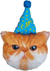 К Фигура, Голова, Котик в колпачке, 32