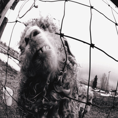 Pearl Jam / Vs. (Expanded Edition)(CD)