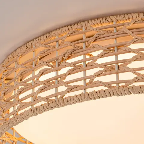 Потолочный светодиодный светильник F-Promo Conrad 4749-4C