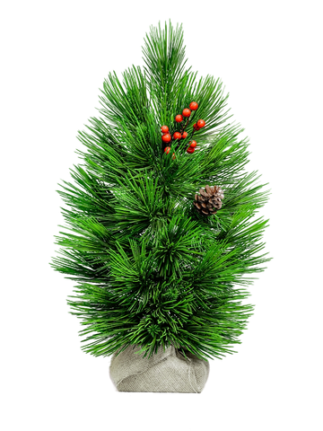 Сосна настольная 70 см