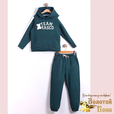 Костюм начес м (2-5) 251223-TR7118