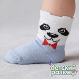 Носки (ассорти цветов в упаковке)