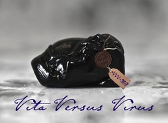 VVV - 369 CRYSTAL