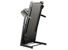 Беговая дорожка XTERRA TR150