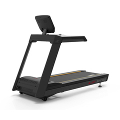 Беговая дорожка AeroFIT X2-T LED