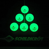 Мячики для н/тенниса DONIC GLOW IN THE DARK 40+, 6 шт, (зеленые) фото №1