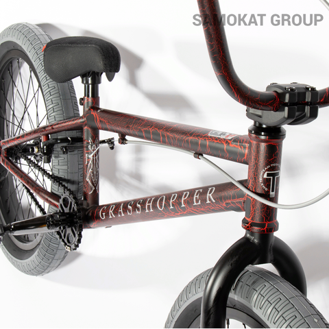 Велосипед BMX Tech Team GRASSHOPPER красно-серый