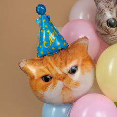 К Фигура, Голова, Котик в колпачке, 32