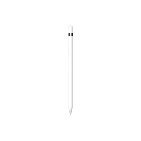 Apple Pencil (USB-C)