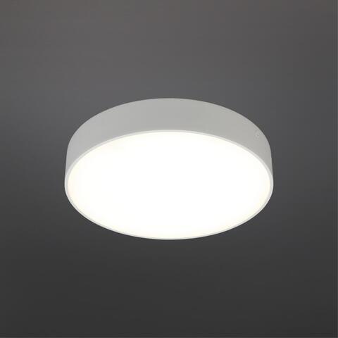 Потолочный светодиодный светильник Aployt Evon APL.0114.09.24