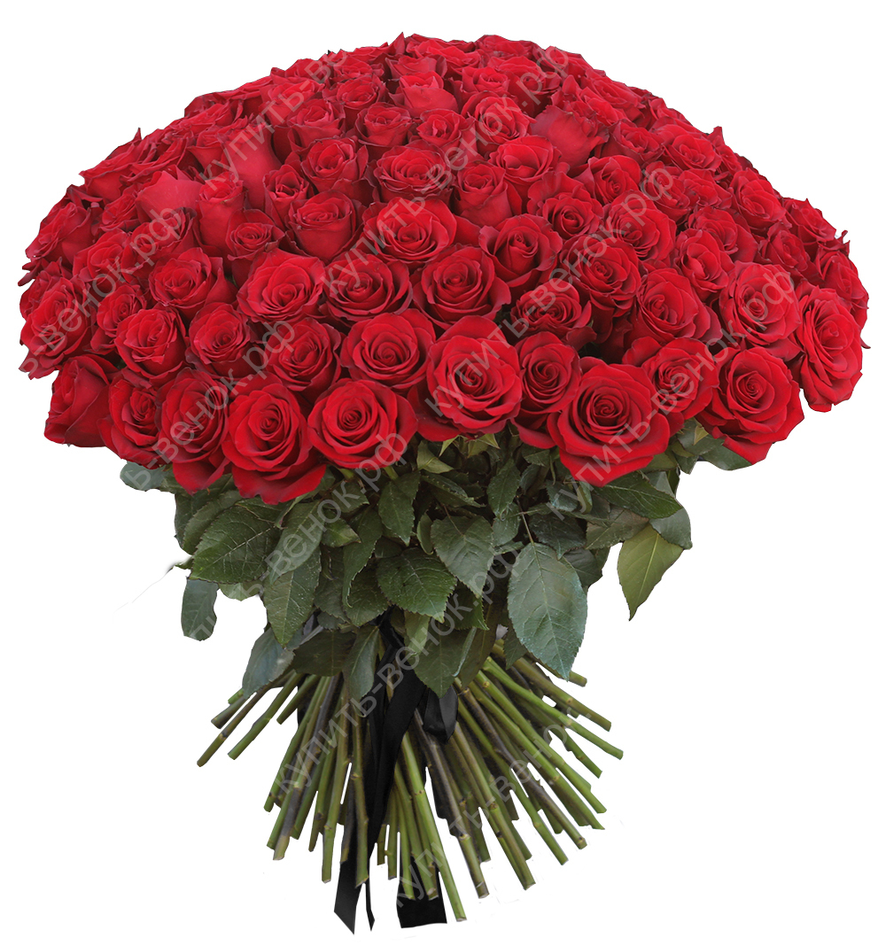 Траурный букет из живых цветов 50 бордовых роз– купить в  интернет-магазине, цена, заказ online