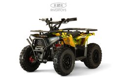 Детский электрический квадроцикл RiverToys MIKA LUX 1000W