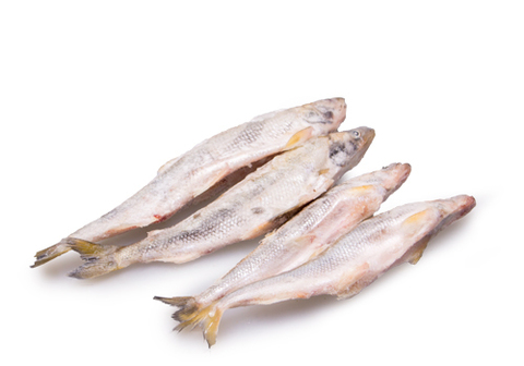 Корюшка азиатская замороженная~1кг