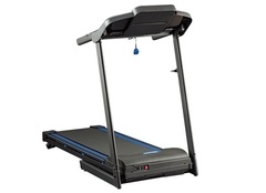 Беговая дорожка XTERRA TR150