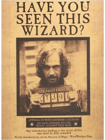 Harry Potter -Have you seen this wizard ?