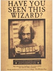 Harry Potter -Have you seen this wizard ?