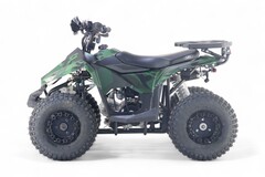 Детский бензиновый квадроцикл RiverToys LEON с электростартером