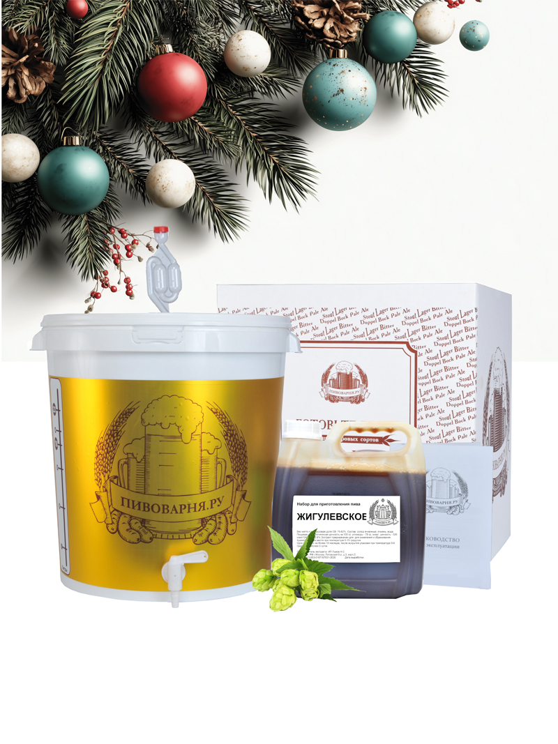 Домашние пивоварни Домашняя мини-пивоварня Пивоварня.ру Лайт 2025_Пивоварни_ПивоРу_экстракт_с_КАНИСТРОЙ_ЛАЙТ_НГ_сайт11.jpg