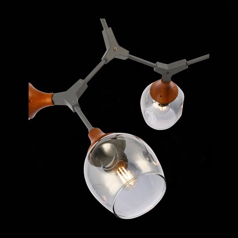Люстра потолочная Evoluce Ciotolla SLE113402-05