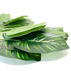 Диффенбахия, искусственная зелень, Куст 9 листьев, 35 см, набор 2 букета.