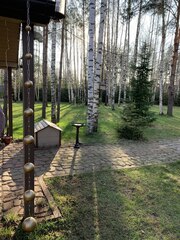 Дождевая цепь 