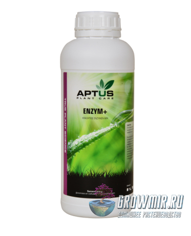 Aptus Enzyme+ 100 мл