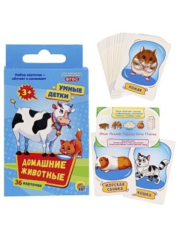 Рыжий Кот/Настольные игры/Карточные//