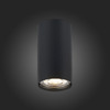 Светильник потолочный ST Luce ST110.407.01