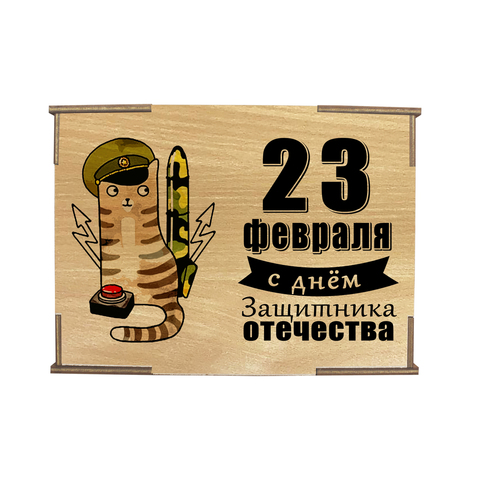 Коробка №4 "23 февраля с днём защитника отечества Кот с ракетой 2 ", бук