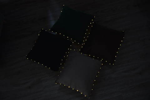 Наволочка 45х45 Sofi De MarkO Flash изумрудная