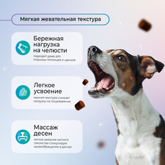 Favet FerrumActive Soft Chews функциональное лакомство для иммунитета для собак, 120г