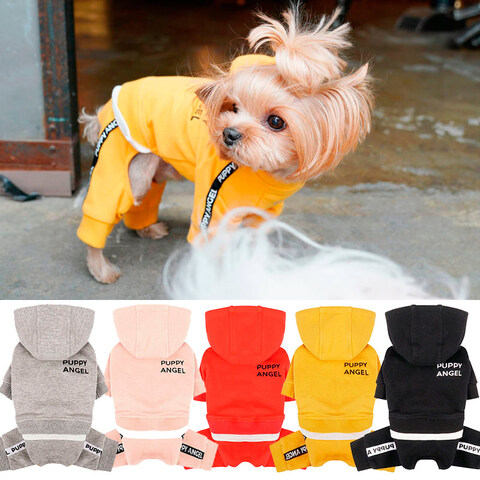 342 PA-OR Костюм спортивный "PAPPY ANGEL", унисекс