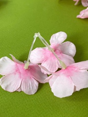 Сакура, лиана декоративная, свисающая зелень, ампельное растение, цвет Розовый, 180 см, набор 1 шт.