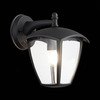 Светильник уличный ST Luce Sivino SL081.411.01