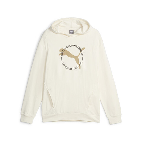 Толстовка Puma BETTER SPORTSWEAR Hoodie TR no color