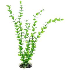 Barbus Plant пластиковое растение для аквариума Бакопа зеленая 10см