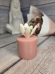 Силиконовая форма 