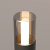Ландшафтный светильник Maytoni Glide O437FL-01GF