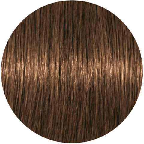 Schwarzkopf Igora Absolutes 7-140 (Средний русый сандрэ бежевый натуральный) - Стойкая крем-краска для окрашивания зрелых волос